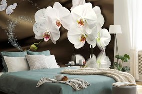 Carta da parati – Orchidea e farfalla