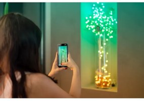 Twinkly TWKP100RGB-T - LED RGB Dimmerabile Catena natalizia 100xLED 8 m USB Wi-Fi