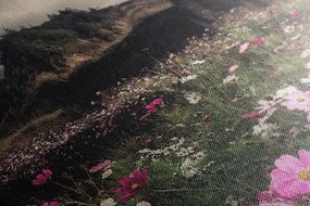 Quadro su tela – Prato di fiori in fiore