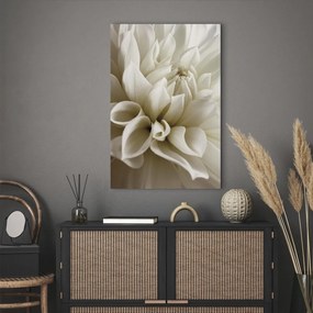 Quadro contemporaneo Bella dalìa - bellissimi fiori di dalìa romantica in bianco
