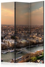 Paravento Barges on the Seine [Room Dividers]