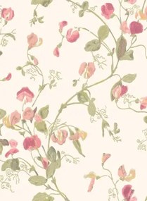Cole & Son Carta da parati Sweet Pea - Pink