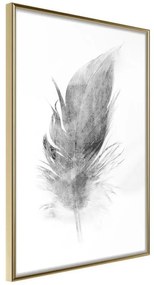 Poster  Lost Feather (Grey)  Cornice Quadri Cornice d'oro, Larghezza x Altezza Home decor 20x30