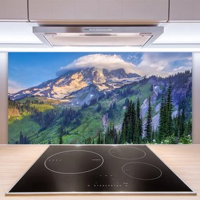 Pannello cucina paraschizzi Paesaggio della natura della foresta di montagna 100x50 cm
