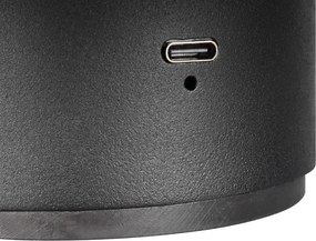 Lampada da parete LED nera opaca con ricarica USB Davey – Trio