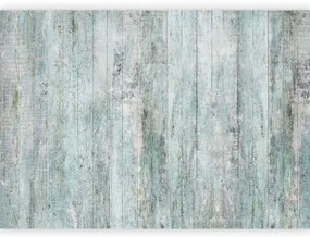 Carta da parati - Rustic Textures - First Variant Premium 450x315