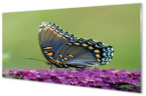 Quadro acrilico Farfalla colorata sui fiori 100x50 cm