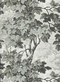 Zoffany Carta da parati Richmond Park - Charcoal