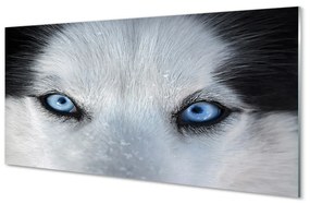 Quadro vetro acrilico Eyes Wolf 100x50 cm