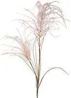 Set 2 Pampas Artificiale con Due dirmazioni Altezza 142 cm Rosa