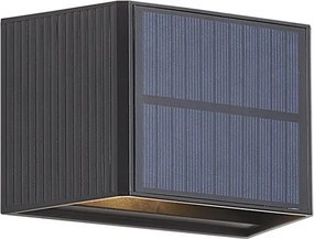 Buiten wandlamp zwart incl. LED 2-lichts IP65 met bewegingssensor en solar - Christof