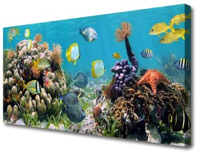 Quadro su tela Natura della barriera corallina 100x50 cm