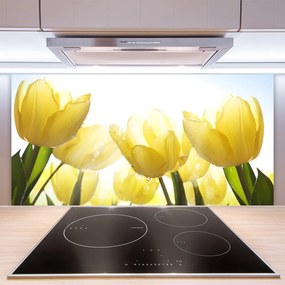 Pannello paraschizzi cucina Tulipani, fiori, raggi 100x50 cm