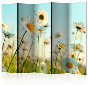 Paravento  Daisies  spring meadow II [Room Dividers]  Colore ---, Dimensioni e Misure 225x172