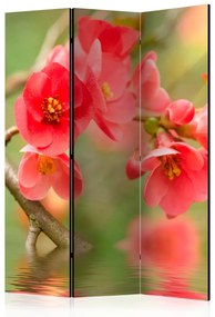 Paravento separè Azalea Riflessa nell'Acqua - Composizione rossa di fiori sopra l'acqua