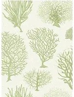 Cole & Son Carta da parati Seafern - Soft Green