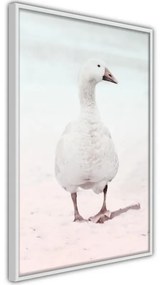 Poster Walking Goose