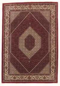 Bidjar Tappeto persiano 300x210 (Iran) Annodato A Mano