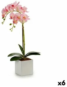 Pianta Decorativa Orchidea 18 x 47 x 14 cm Plastica (6 Unità)