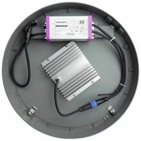 Lampione Stradale 65W, Dual Gray,1-10V, Programmabile,driver Philips Colore  Bianco Caldo 2.700K