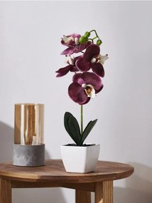 Sinsay - Pianta ornamentale artificiale - orchidea