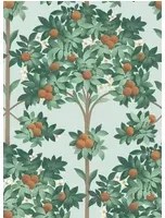 Cole & Son Carta da parati Orange Blossom - Burnt Orange/ Mint on Seafoam