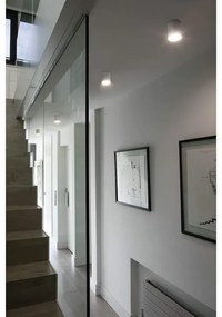 Faro 64206 - Luce Spot a LED HARU LED/6W/230V bianco