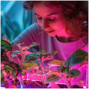 LED Lampadina per la crescita delle piante PLANTY E27/40W/230V 1200K