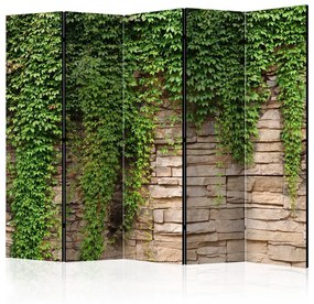 Paravento Ivy wall II [Room Dividers]