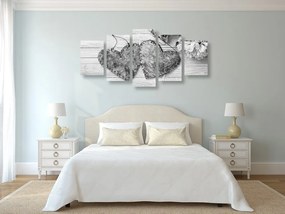 Quadri 5 pezzi – Peonie e cuori di betulla in bianco e nero