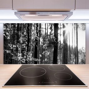 Pannello paraschizzi cucina Alberi della natura della foresta 100x50 cm