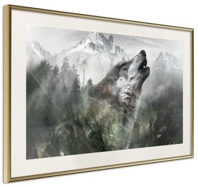 Poster  Wolf's Territory  Cornice Quadri Cornice d'oro con passe-partout, Larghezza x Altezza Home decor 30x20