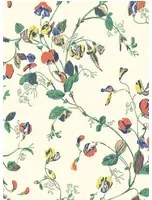 Cole & Son Carta da parati Sweet Pea - Red, Blue & Cream