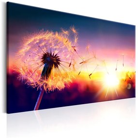 Quadro Freedom of Nature  Colore Rosa, Dimensioni e Misure 120x80