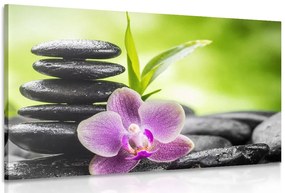Stampa su tela – Composizione Zen meditativa
