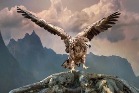 Stampa su tela – Aquila con ali spiegate sopra le montagne