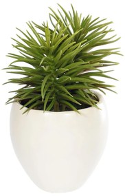 Kave Home - Pianta artificiale Pino con vaso in ceramica bianco 16 cm
