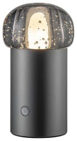 Luce LED portatile USB dimmerabile per esterni ø 10 cm Iris - Blomus