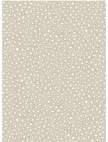 Cole & Son Carta da parati Senzo Spot - Stone & White