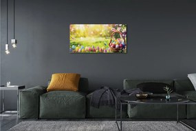 Foto quadro su tela Cesti uova fiori prato 100x50 cm