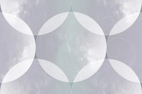 Carta da parati – Cerchi grigi ordinati