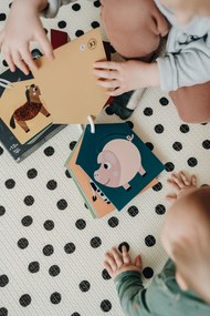 Schede Tattili Della Fattoria