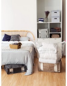 Scatole di cartone con coperchio in set da 2 pezzi Stripes - Compactor