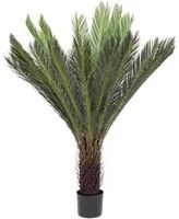 Plant with pot Palm Cycas 28 leaves 120h cm