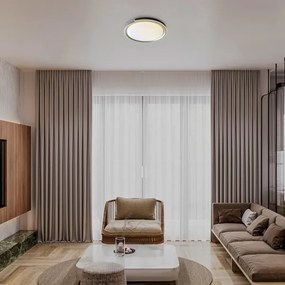 Rabalux 71292 - Plafoniera LED dimmerabile JINDRI LED/48W/230V 3000-6500K + TC