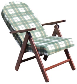 FAGGI PRO - poltrona sdraio 4 posizioni completo di cuscino