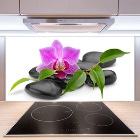 Pannello cucina paraschizzi Arte del fiore dell'orchidea 100x50 cm