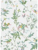 Cole & Son Tapete Hummingbirds - Green/ Pink