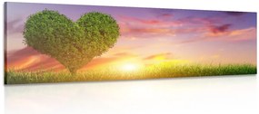 Stampa su tela – Albero a forma di cuore nel prato