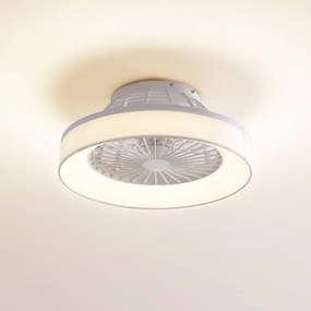 Ventilatore da soffitto Lindby LED Mace, bianco, silenzioso, CCT Mace Lindby, dimmerabile, Bianco / Opale, Soggiorno / Sala da pranzo, Plastica, Moderno